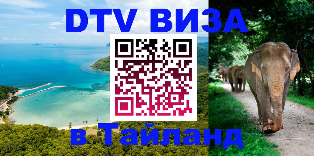 Сколько стоит DTV виза — актуальные цены, оформление даже без документов - 03.10.2025 